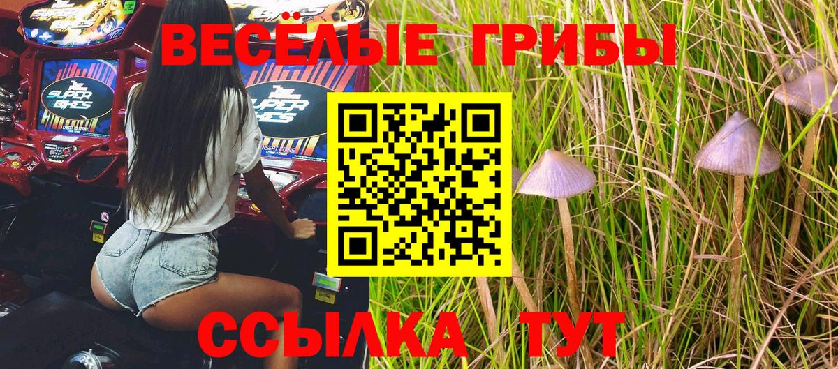 Калининград  купить наркотики цена  Вход с VPN  Галлюциногенные грибы Magic Shrooms 